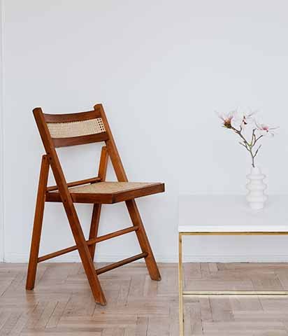 Dry Dog Food for Adult Dogs